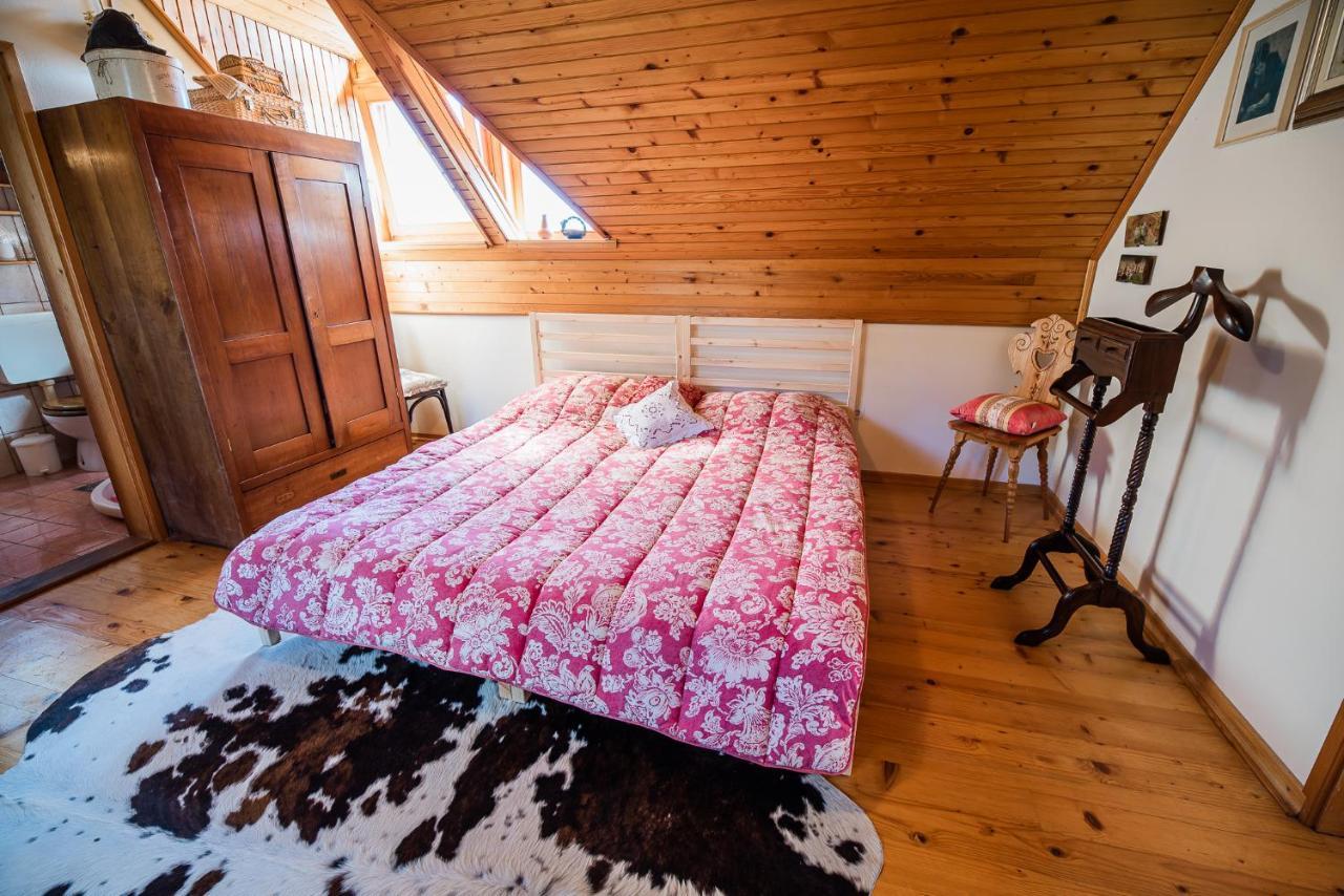 Authentic Countryside Villa With Hot Tub Veliki Kamen Exterior photo